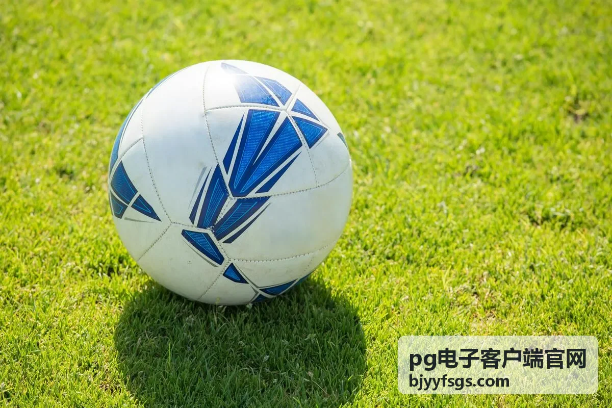 pg电子客户端官网使用技巧与答疑专题封面