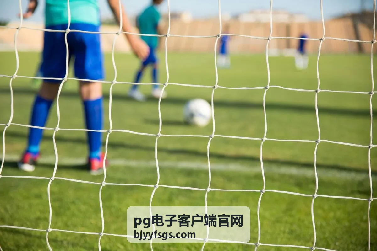 pg电子客户端官网运行环境检查配图
